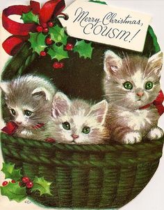 three kittens sitting in a basket with holly berries and a merry christmas sign on it