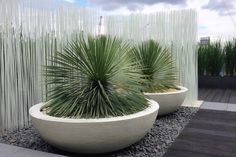 two large white planters sitting next to each other