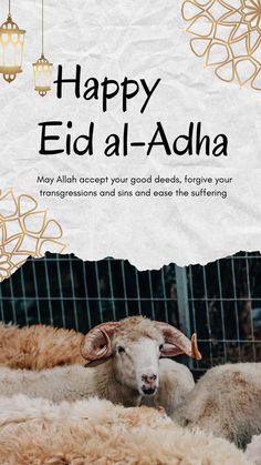 Happy Eid Al adha wishes Eid Al Adha Mubarak Wishes, Eid Ul Adha Mubarak Greetings, Eid Wishes Quote, Eid Mubarak Wishes Images, Eid Adha Mubarak, Eid Photos, Happy Eid Al Adha