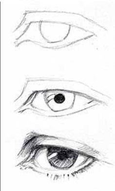 three different types of eyes and their features