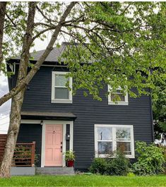 a black house with a pink door and two trees in front of it on a cloudy day