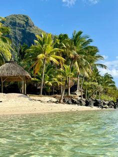 the beach is lined with palm trees and thatched huts on it's sides