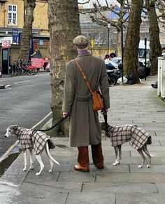 a man walking two dogs on a leash down the sidewalk in front of a tree