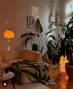 a living room filled with furniture and lots of plants