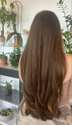 Waist length brown hair Long Hair Waist Length, Brunette Hair Blowout, Hair Waist Length, Brown Brunette Hair, Pretty Brown Hair, Cool Brown Hair, Brown Hair Trends, Golden Brown Hair Color, Hair Blowout