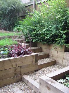 an outdoor garden with wooden steps and plants