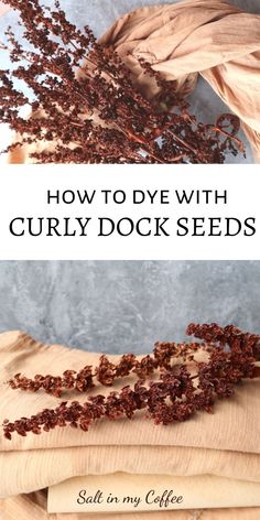 how to dye with curly dock seeds and then use it in your crafting projects