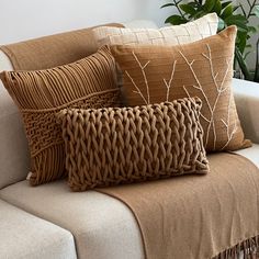 a couch with pillows on top of it next to a potted plant