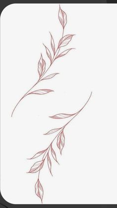 a drawing of a branch with leaves on it's side, in red ink