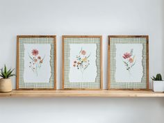 three framed flowers on a shelf next to a potted plant