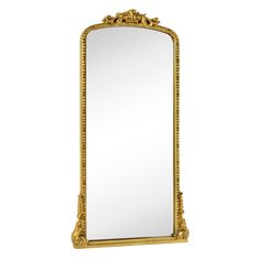 an ornate gold framed mirror on a white background