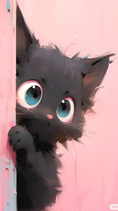 a black cat with big blue eyes peeking out from behind a pink wall