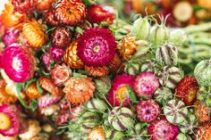 many different colored flowers are arranged together