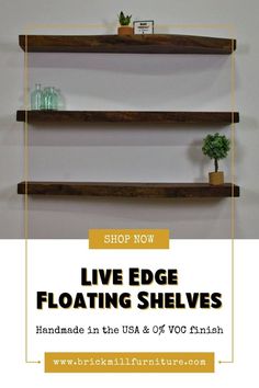 floating walnut shelf with plants on top