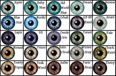 an eye chart with different colored eyes and the names of each individual iris, including one blue