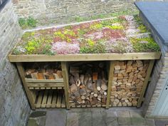 an outdoor firewood storage area with lots of logs