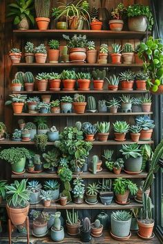 a shelf filled with lots of potted plants