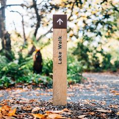 a wooden sign pointing to the left in front of trees and leaves on the ground