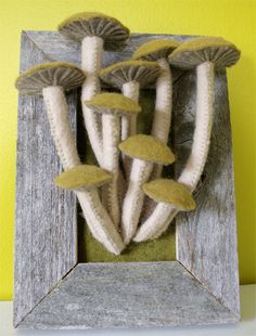 a group of mushrooms sitting inside of a wooden frame