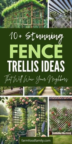 10 stunning fence trellis ideas that will give your neighbors the best look in their garden