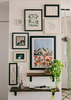 there are many framed pictures on the wall with plants in front of them and a potted plant next to it