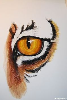 the tiger's eye is painted with colored pencils