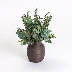 a brown vase filled with lots of green plants