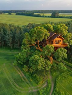 an aerial view of a tree house in the middle of a lush green field with trees