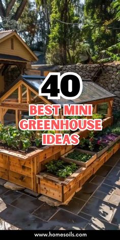 the words 40 best mini greenhouse ideas are in front of a small house with lots of plants