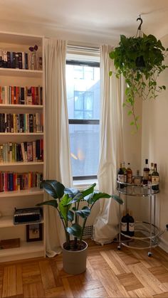 a living room with bookshelves and plants in the window sill, next to a book shelf full of books