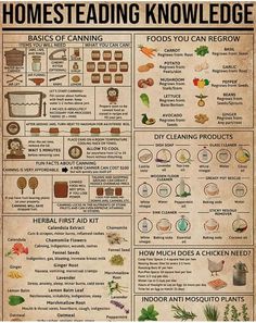 a poster with some words on it that say, homesteading knowledge