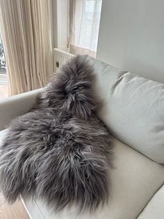 there is a furry gray pillow on the couch