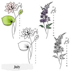 four different types of flowers are shown in this drawing book, with the words july written below them