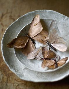 three brown butterflies sitting on top of a white plate