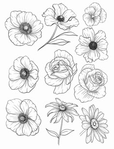 the flowers are drawn in black and white