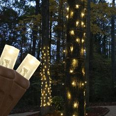 a hand holding two lights in the middle of a forest