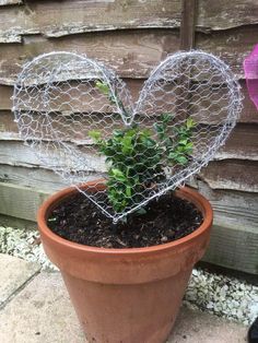 a potted plant with a wire heart decoration in it