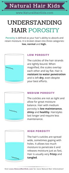 Learning about your hair density and porosity can help you better care for your hair. Porous Hair, Hair Care Regimen, Hair Dyes, Body Creams, Hair Porosity, Natural Hairstyles For Kids, Healthy Natural Hair