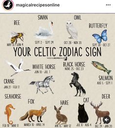 the zodiac sign for your zodiac sign is shown with animals and birds in different colors