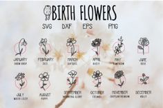 the birth flowers are shown in black and white, with pink lettering on each flower