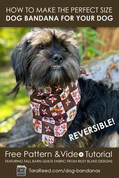 a dog wearing a bandana for your dog