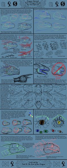 an info sheet showing how to use the internet