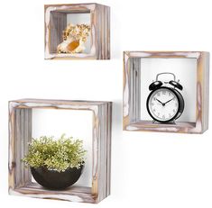 three square wooden frames with plants and an alarm clock on the wall, one has a potted plant in it