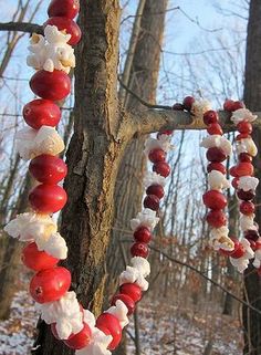 a tree decorated with candy and marshmallows in the winter forest for christmas