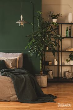 Deep green bedroom with organic style, soft textiles, and wood floor Green Room Ideas Bedroom, Dark Green Rooms, Green Bedroom Walls, Feature Wall Bedroom, Dark Green Walls, Earthy Bedroom, Basement Apartment, Green Walls, 아파트 인테리어