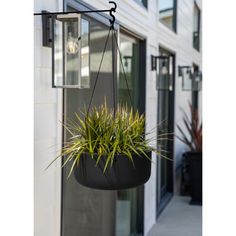 a hanging planter filled with plants on the side of a building