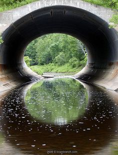 there is a tunnel going into the water with trees in the backgroung