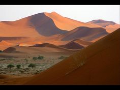 sand dunes in the desert with trees and bushes