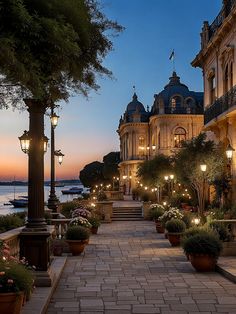 the walkway is lined with potted plants and lit up street lamps in front of an ornate building