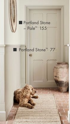 a brown dog laying on top of a rug next to a door